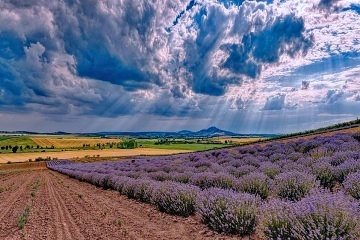Chalupa Na Vinask Stezce - Plava - jin Morava