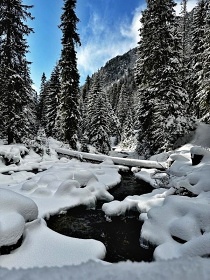 Chalupa a koupac� sud - Hrebienok - Vysok� Tatry