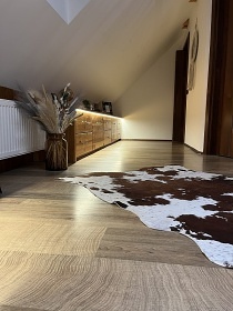 Wellness chalupa s baz�nem - Pivonice - Zub�tejn