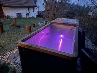 Wellness chalupa s baz�nem - Pivonice - Zub�tejn