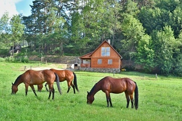 Chata na samot� - kon� a koupac� sud - Strakonicko