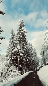 Horsk� chata se saunou - Kl�novec - H�j - Lou�n�