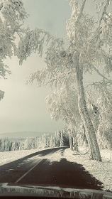 Horsk� chata se saunou - Kl�novec - H�j - Lou�n�