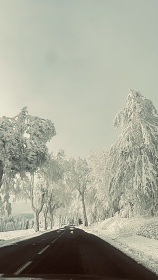 Horsk� chata se saunou - Kl�novec - H�j - Lou�n�