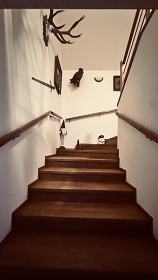 Horsk� chata se saunou - Kl�novec - H�j - Lou�n�