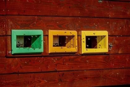 Glamping a sauna Krušné hory - Prunéřovské údolí