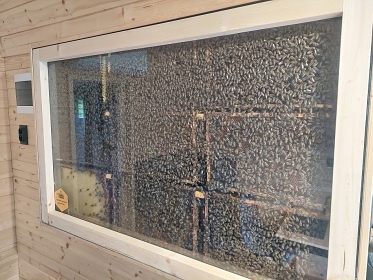 Glamping a sauna Krušné hory - Prunéřovské údolí
