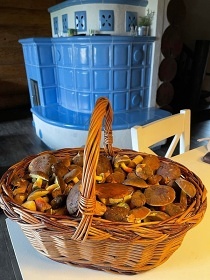 Srub u Litomyšle - vnitřní bazén a sauna