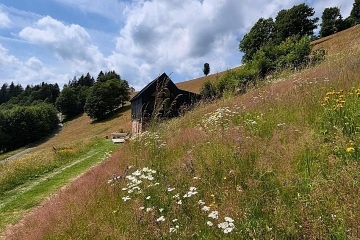 Designová horská chata - Krkonoše - Horní domky