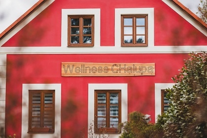 Luxusní chalupa bazén a wellness - Jemnice - Telč