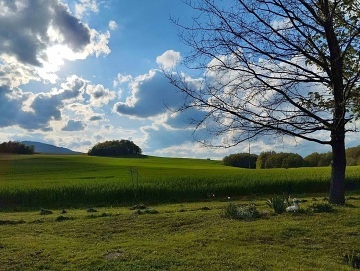 Na chaloupce u lesa - Hradec Nová Ves - Jeseníky