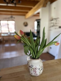 Chalupa Drouhavec - Velhartice - Šumava