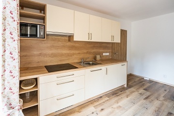 Chata u lesa - apartmány a sauna - Javořina