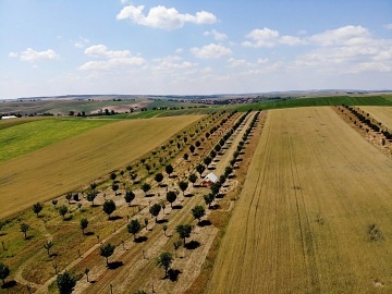 Glamping u vinn rvy - stan Dubany - Kyjov
