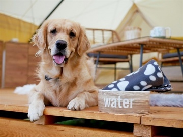 Glamping u vinn rvy - stan Dubany - Kyjov