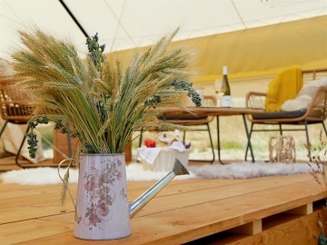 Glamping stan Cyklostezka Mezi vinohrady - Dub�any