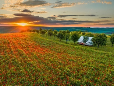 Glamping u vinn� r�vy - stan Dub�any - Kyjov