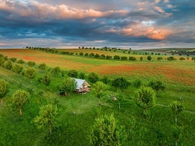 Glamping stan Cyklostezka Mezi vinohrady - Dubňany
