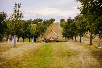 Glamping u vinn� r�vy - stan Dub�any - Kyjov