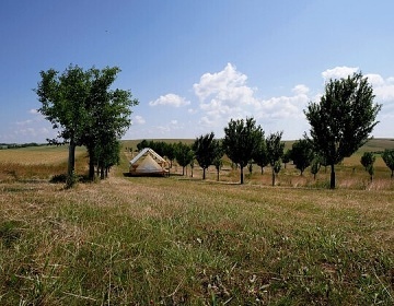 Glamping stan Cyklostezka Mezi vinohrady - Dub�any