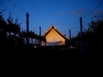 Glamping ji�n� Morava - stan Dub�any - Hodon�n