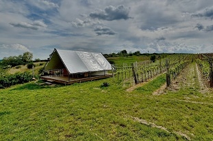 Nov objekt: Glamping u vinice - stan Mutnice - Dubany 1M-279