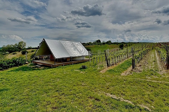 Glamping u vinice - stan Mutnice - Dubany