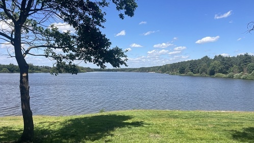 Chalupa se saunou u cyklostezky - T�ebo�sko