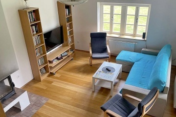 Chata a koupac� jez�rko - Lu�nice - T�ebo�sko