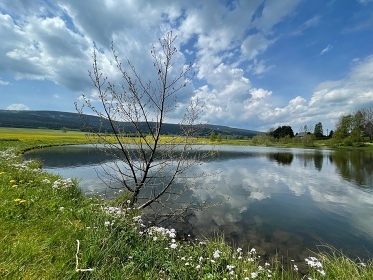 Cedrov� roubenka - Divok� Orlice - Velk� De�tn�