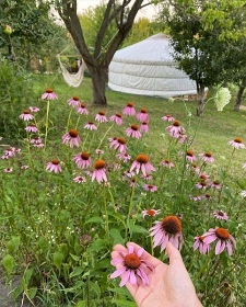 Glamping Jurta - Kostice - Břeclav - Pálava