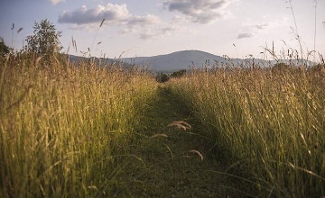 Chata Javorový vrch - Bystřice nad Olší - Beskydy