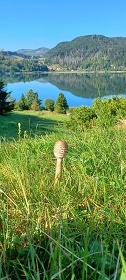 Glamping Slovenský ráj - Dobšinská ledová jeskyně