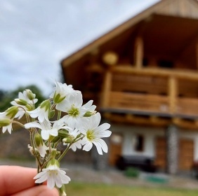 Srub u Volfa - Doubravice - Strakonice