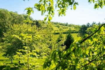 Glamping �esk� r�j - Tiny house - Vrch Baba