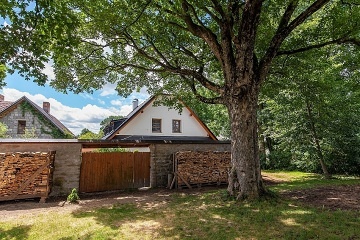 Venkovská chalupa - Žďárské vrchy - Velké Dářko