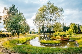 Srub v koruně stromu - Nová Bystřice - Třeboňsko