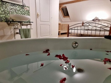 Chalupa bazén a wellness - Toulava - Blaník