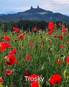 Wellness Chaty s baznem - esk rj - Trosky