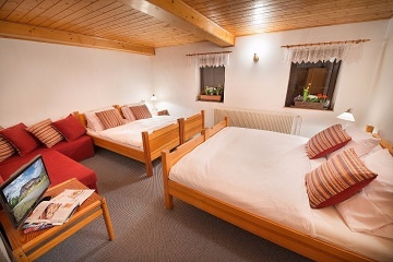 Wellness chata Šumava - Volary - Horní Planá