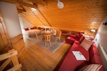 Wellness chata Šumava - Volary - Horní Planá
