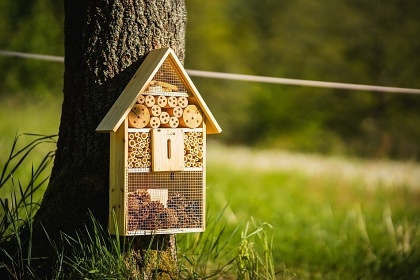 Glamping Podjetd - maringotka vhled na Jetd