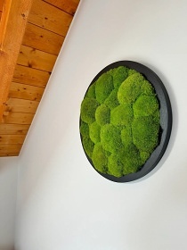 Wellness chata Voda - Železné hory - Hlinsko