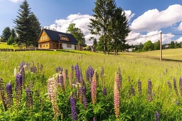 Roubenka Orlické hory - Anenský vrch - Říčky