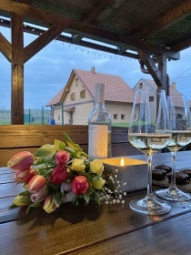 Chata a vinný sklep - Habánská stezka - Pálava