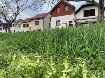 Chata a vinný sklep - Habánská stezka - Pálava