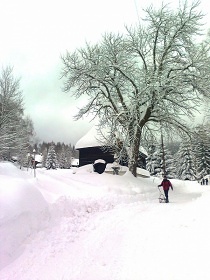 Wellness srub - Rudoltice - termly Velk Losiny