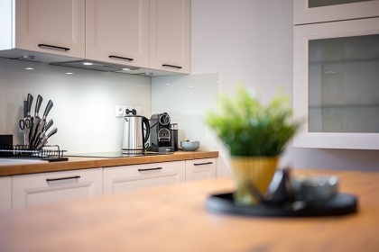 Chata bazn a koupac sud - ern Budy - Konopit