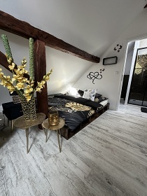 Statek Březina - apartmány - Jindřichův Hradec