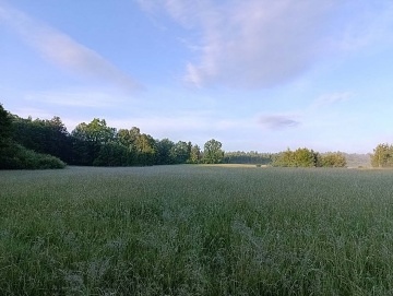 Pronájem chaty s bazénem Lhota - Mladošovice